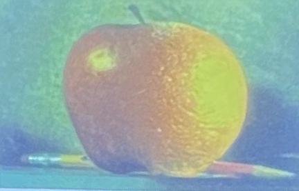 Rectified Image (Bilinear Interpolation)