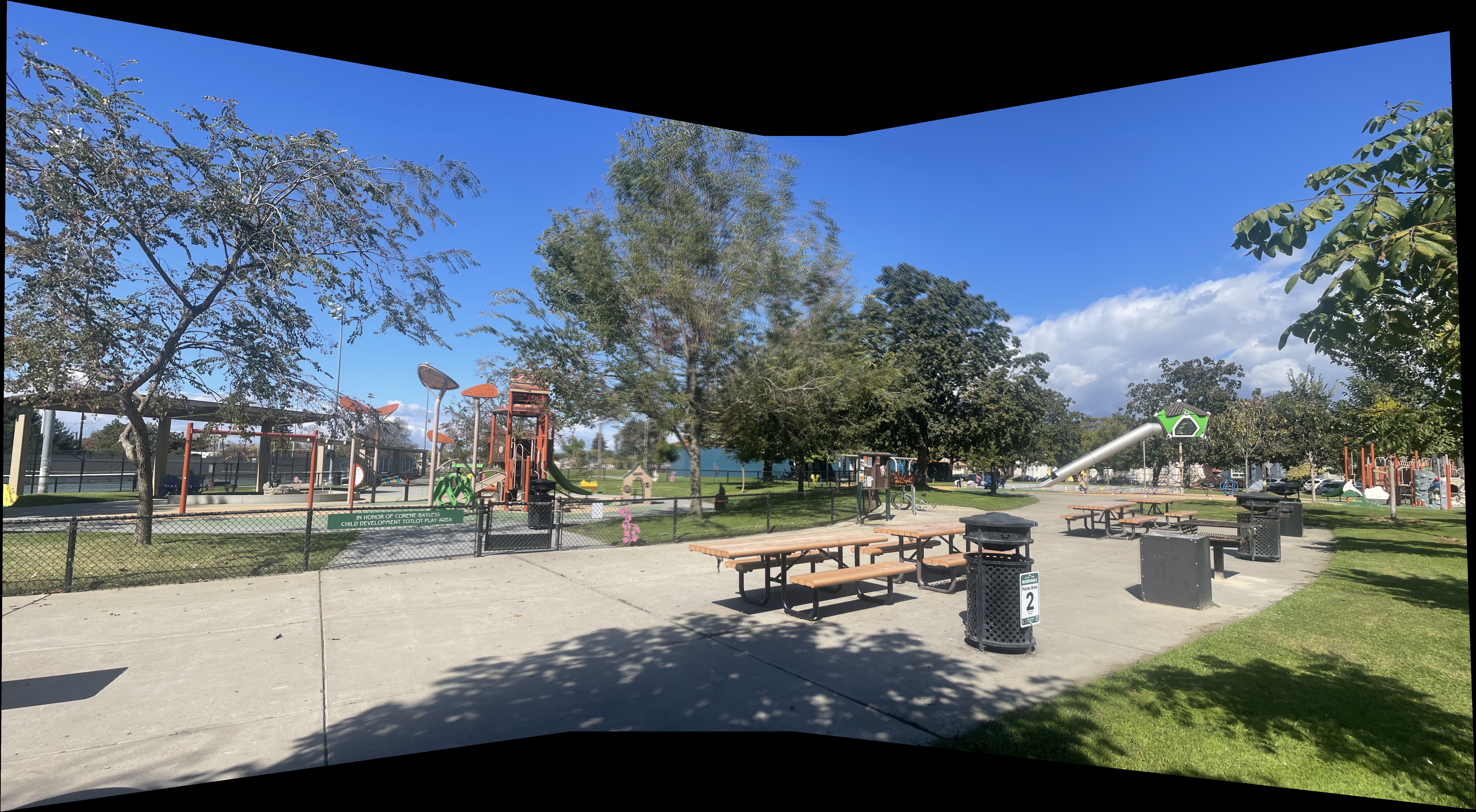 Automatic Park Mosaic