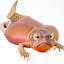 Iguana i_start=20