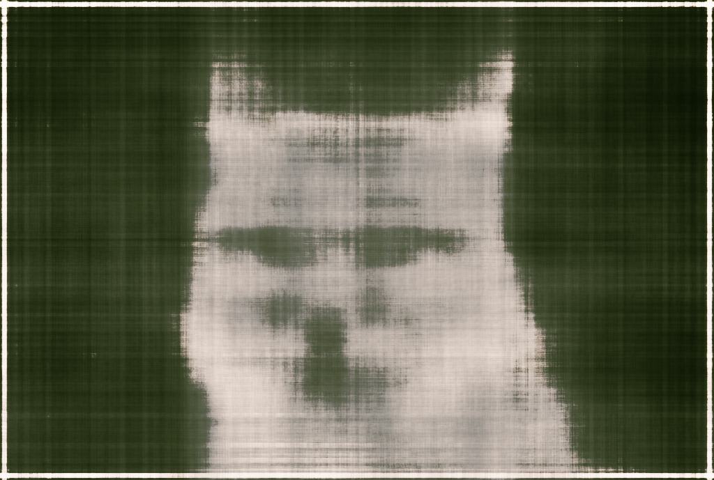 Fox iter=100